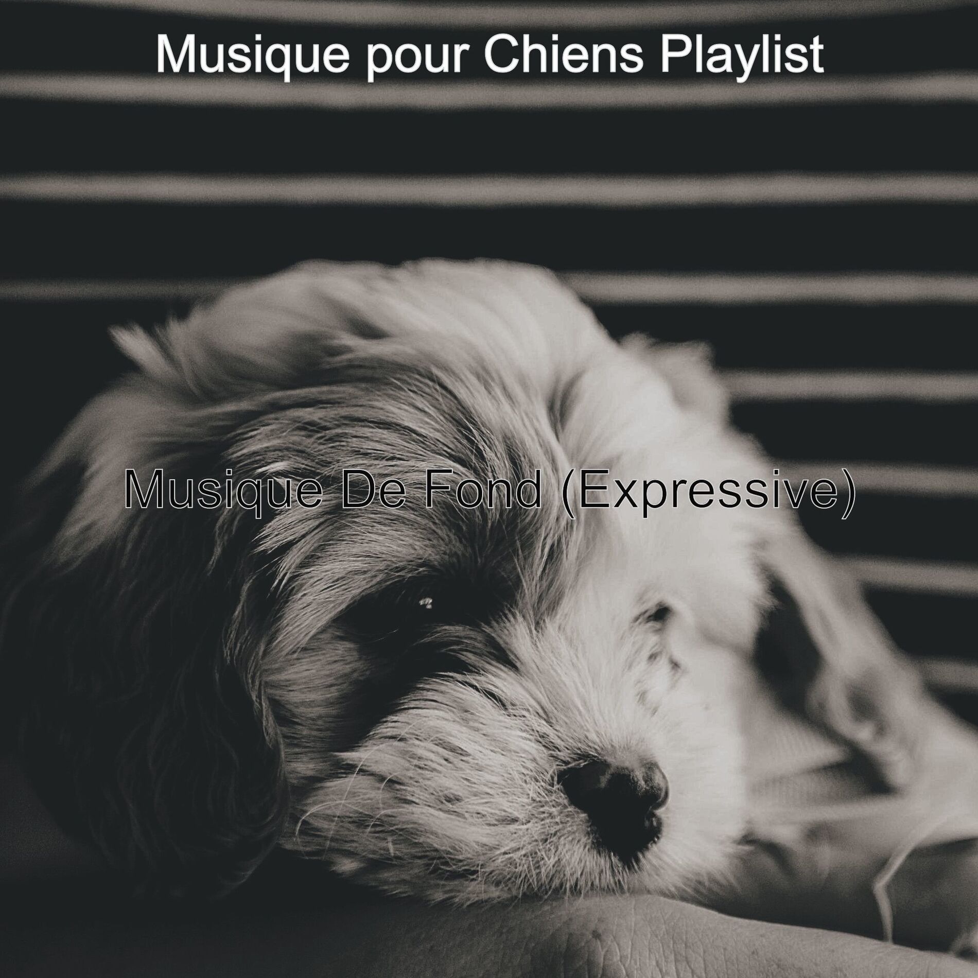Album cover of Musique De Fond (Expressive)