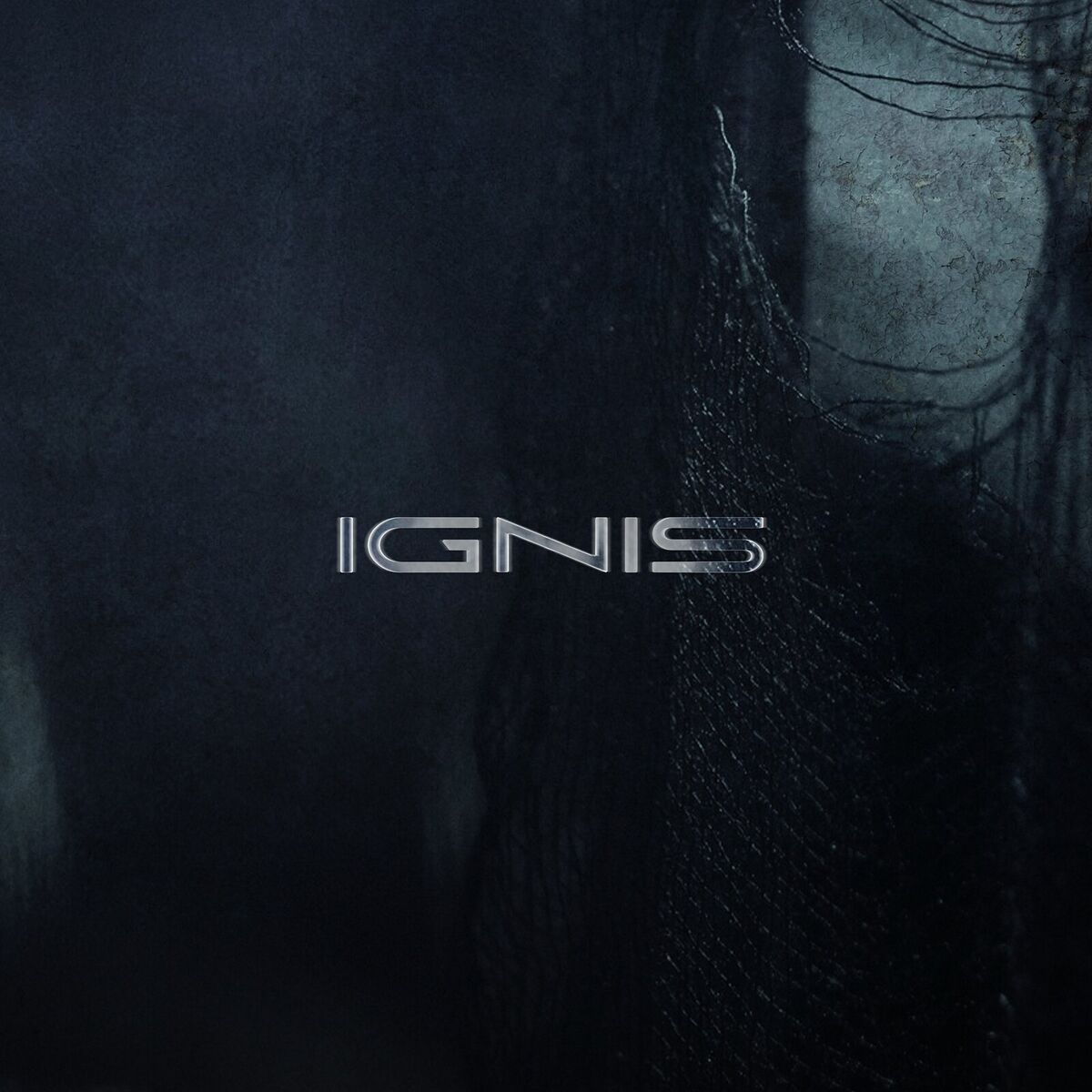 Album cover of Ignis