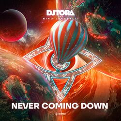 Cover of Never Coming Down