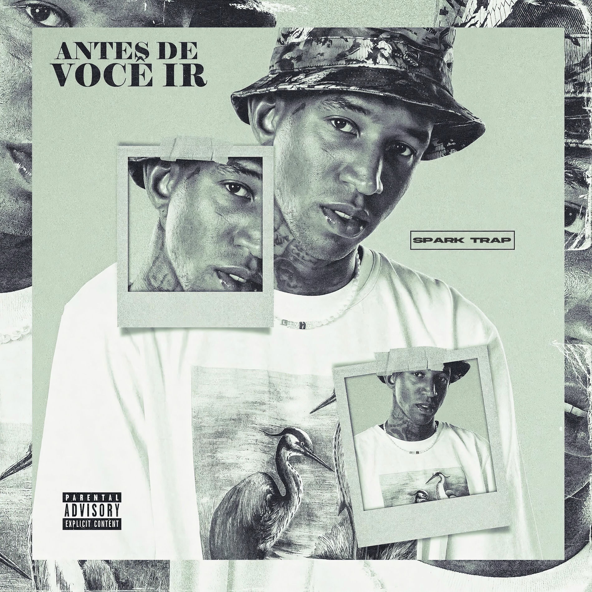 Album cover of Antes de Você Ir