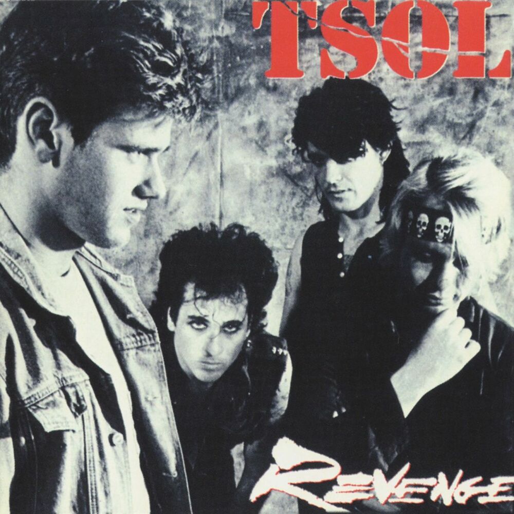 Picture of Revenge