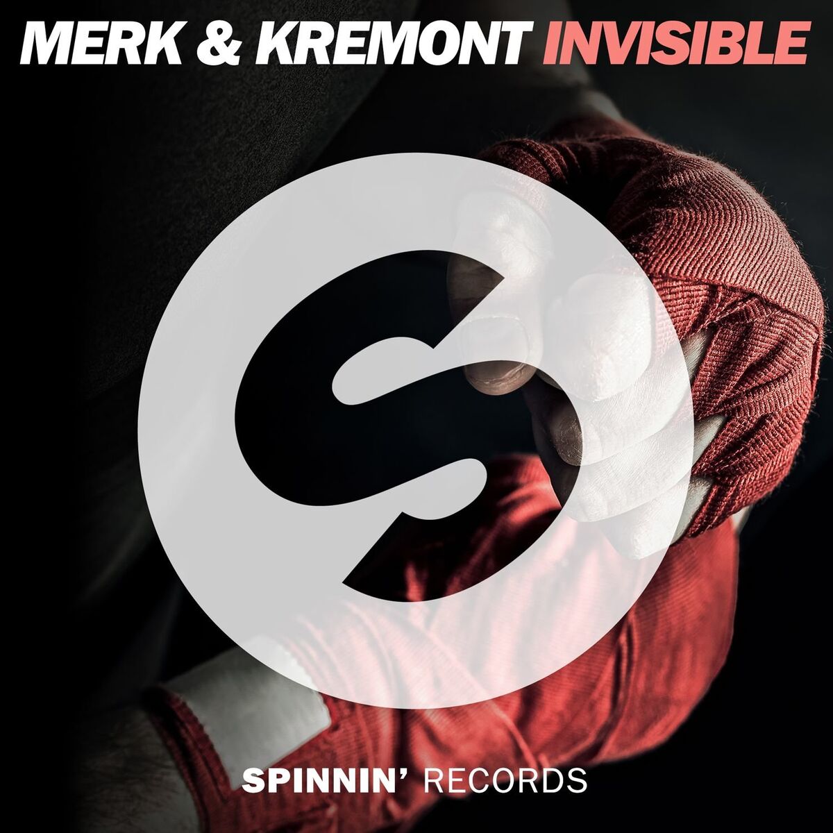 Album cover of Invisible