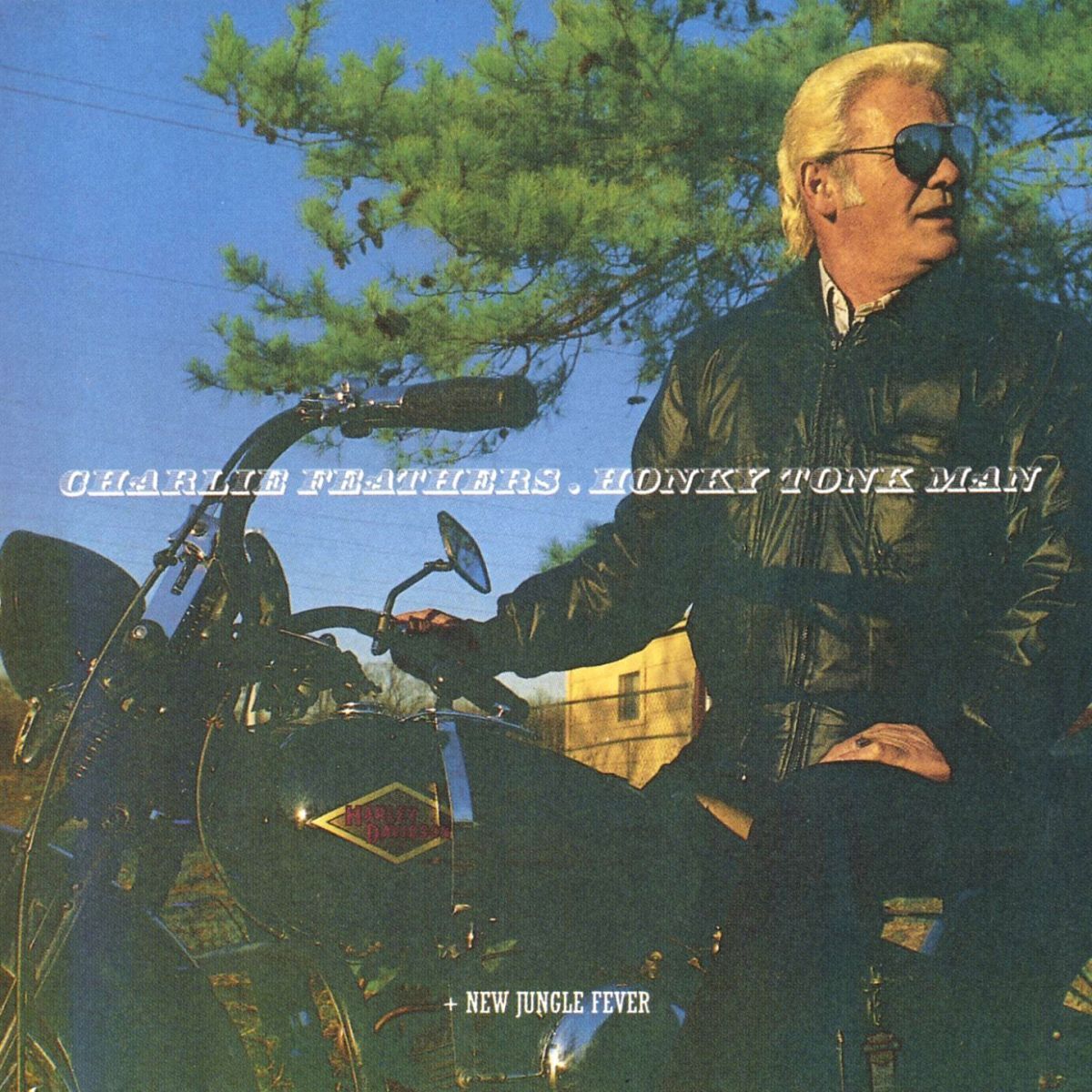 Album cover of Honky tonk man