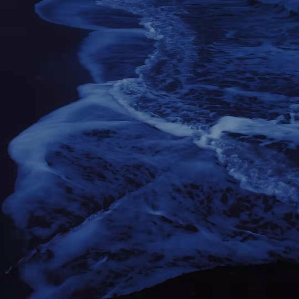 Picture of 你从未离去 (Remix)