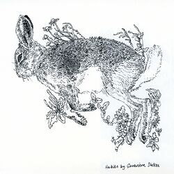 Cover of Habits