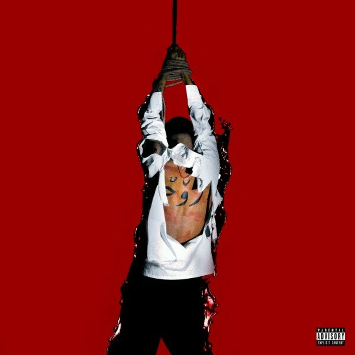 Album cover of DAAM (Deluxe)