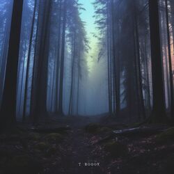 Cover of A Lofi Journey by Rah