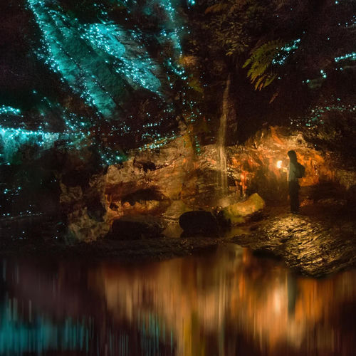What you doin in this Forest? artwork