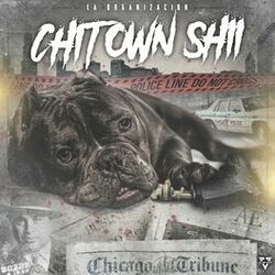 Cover of Chitown Shii