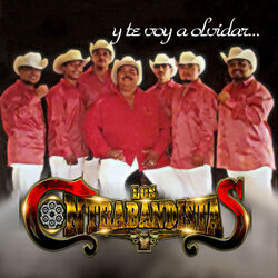 Cover of Y Te Voy a Olvidar