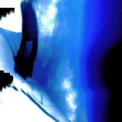 Cover of Particle Ocean