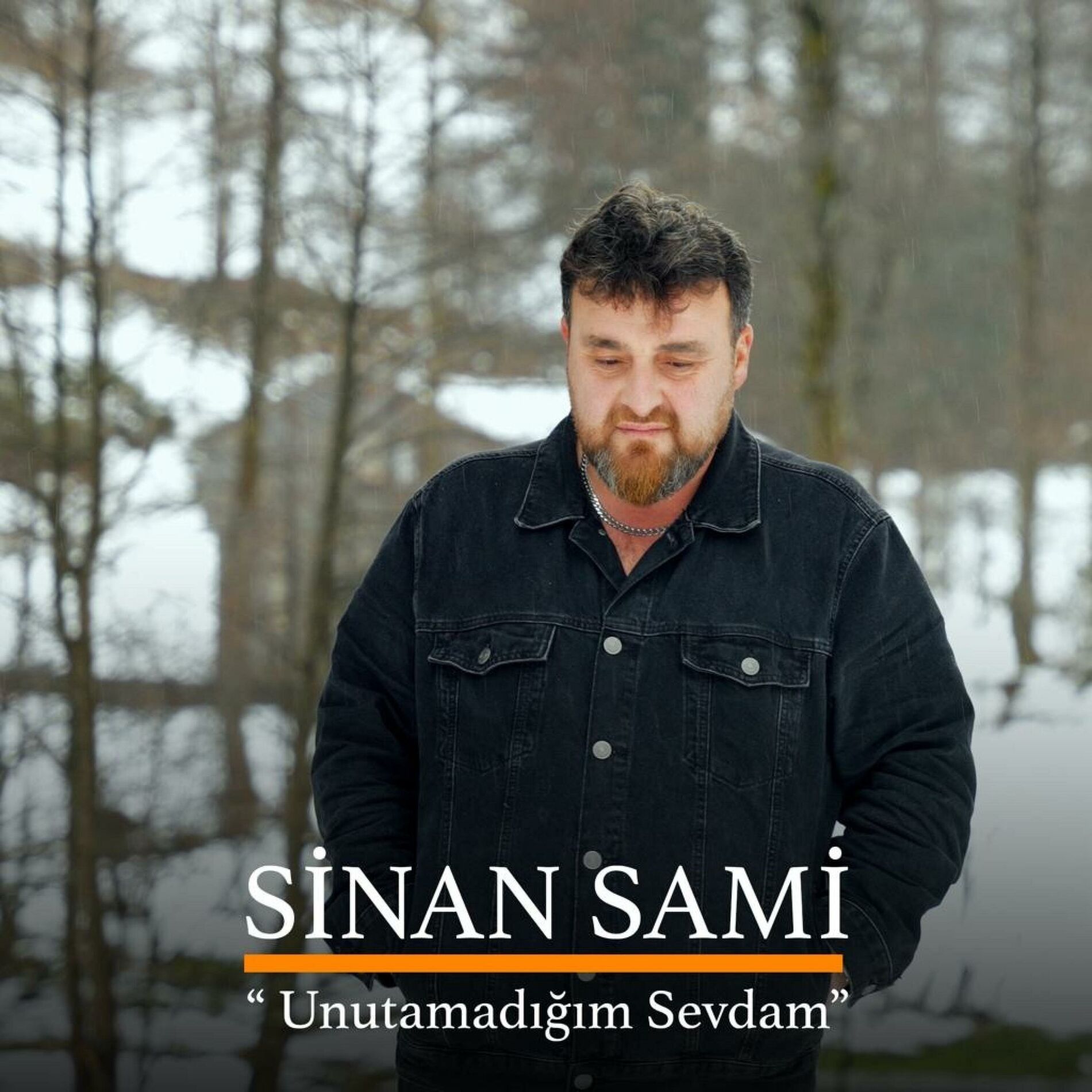 Album cover of Unutamadığım Sevdam