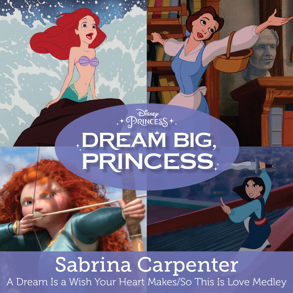 Picture of A Dream Is a Wish Your Heart Makes/So This Is Love