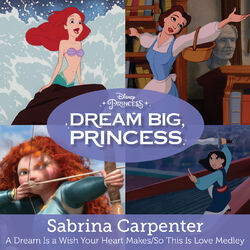 Cover of A Dream Is a Wish Your Heart Makes/So This Is Love