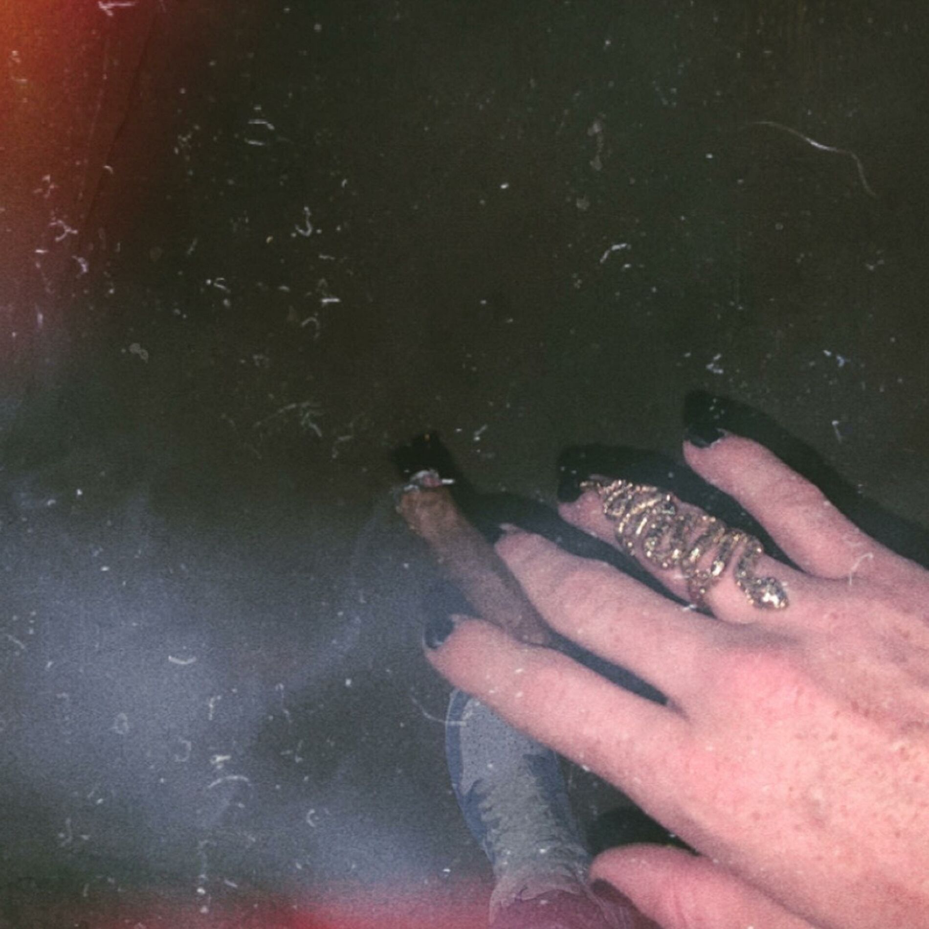 Album cover of Backwood