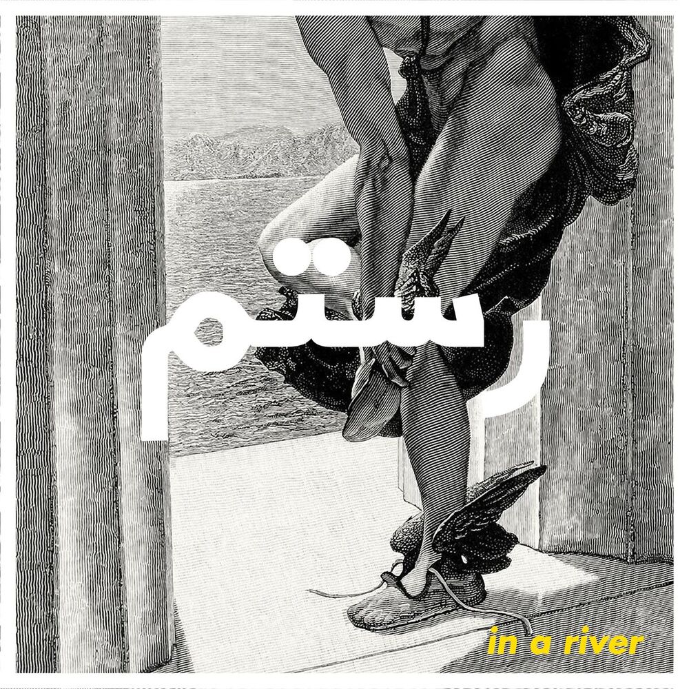 Picture of In a River