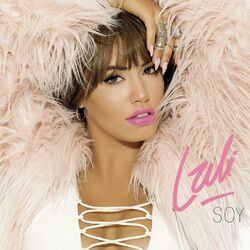Cover of Soy