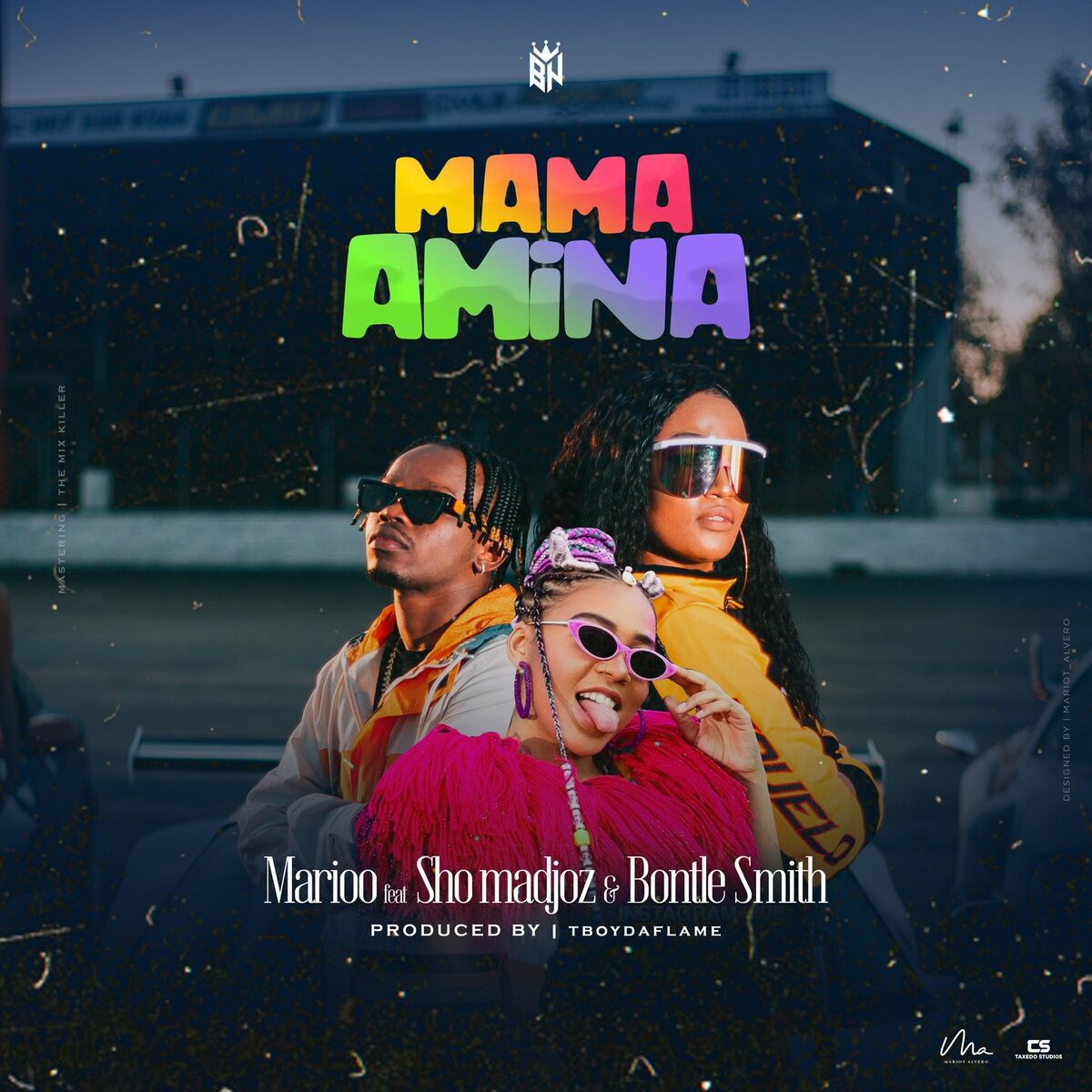Album cover of Mama Amina