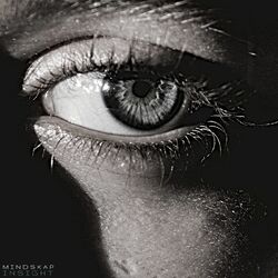Cover of Insight