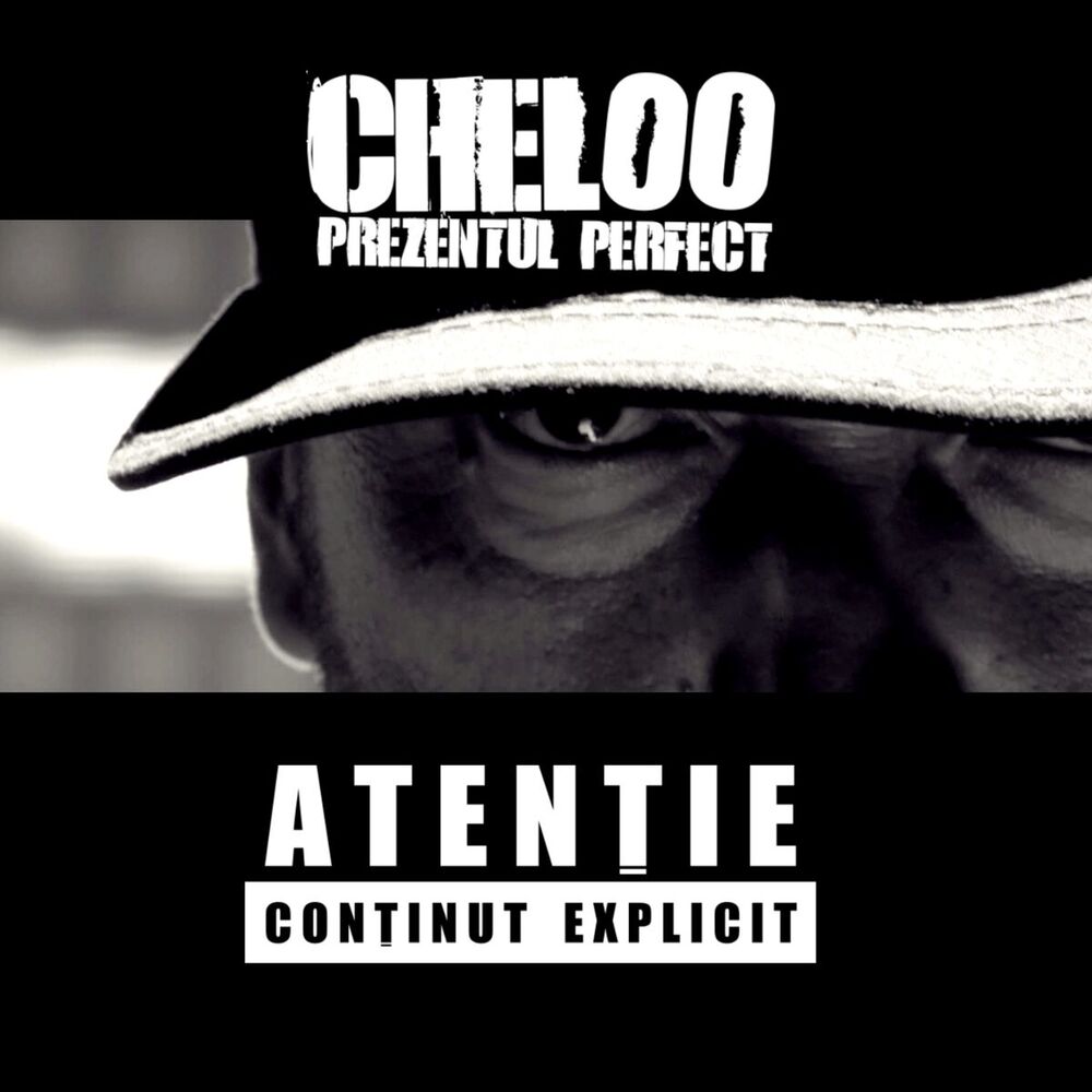 Picture of Prezentul Perfect