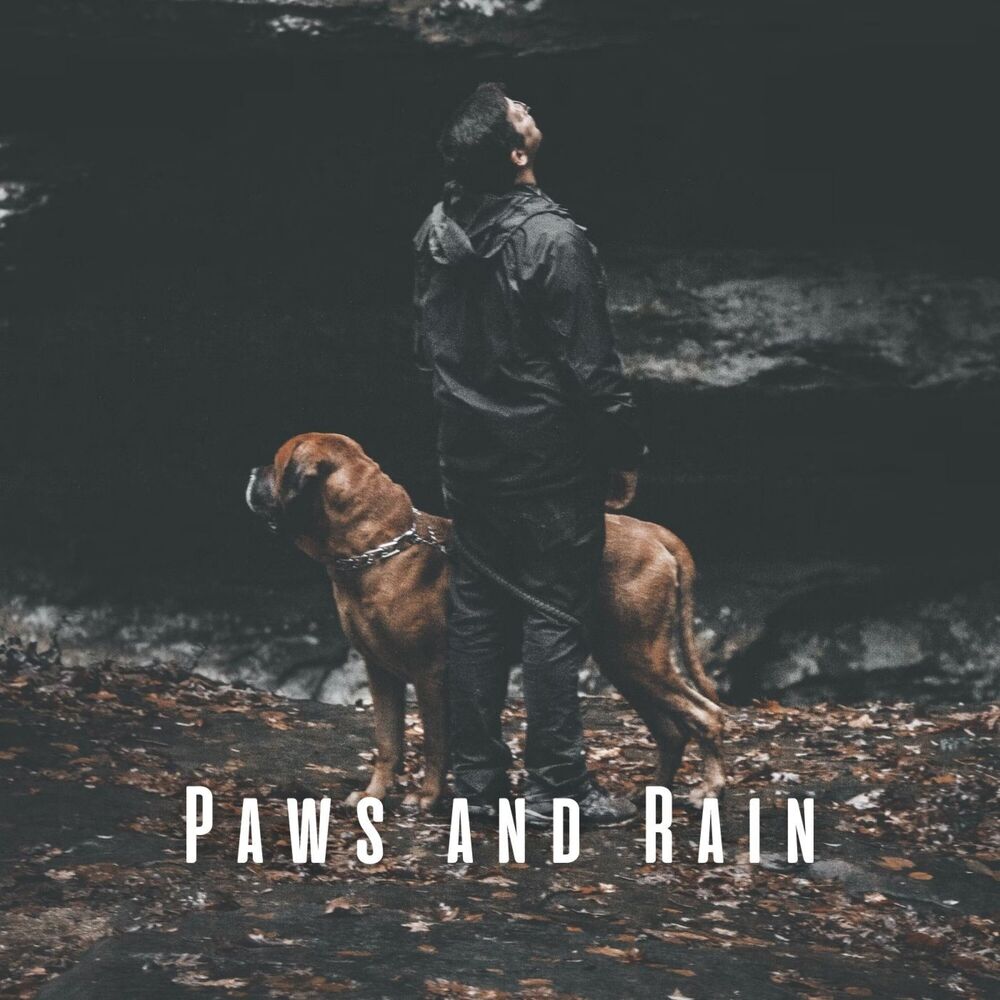 Picture of Paws and Rain: Binaural Dog Paradise