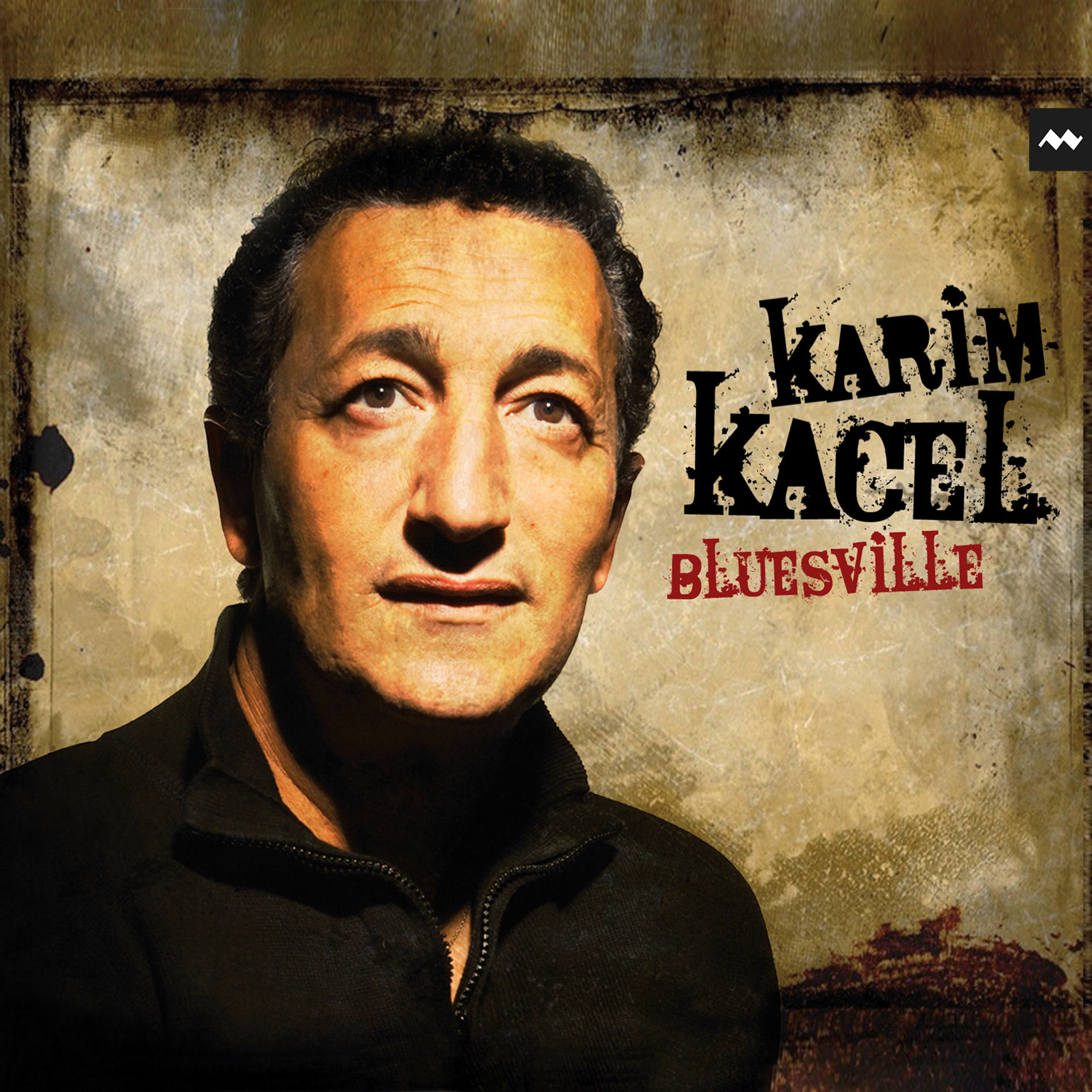 Album cover of Les mots que l'on dit