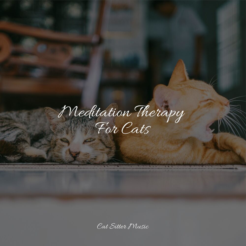 Picture of Meditation Therapy For Cats