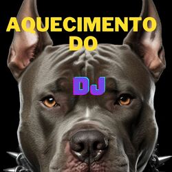 Cover of AQUECIMENTO DO DJ