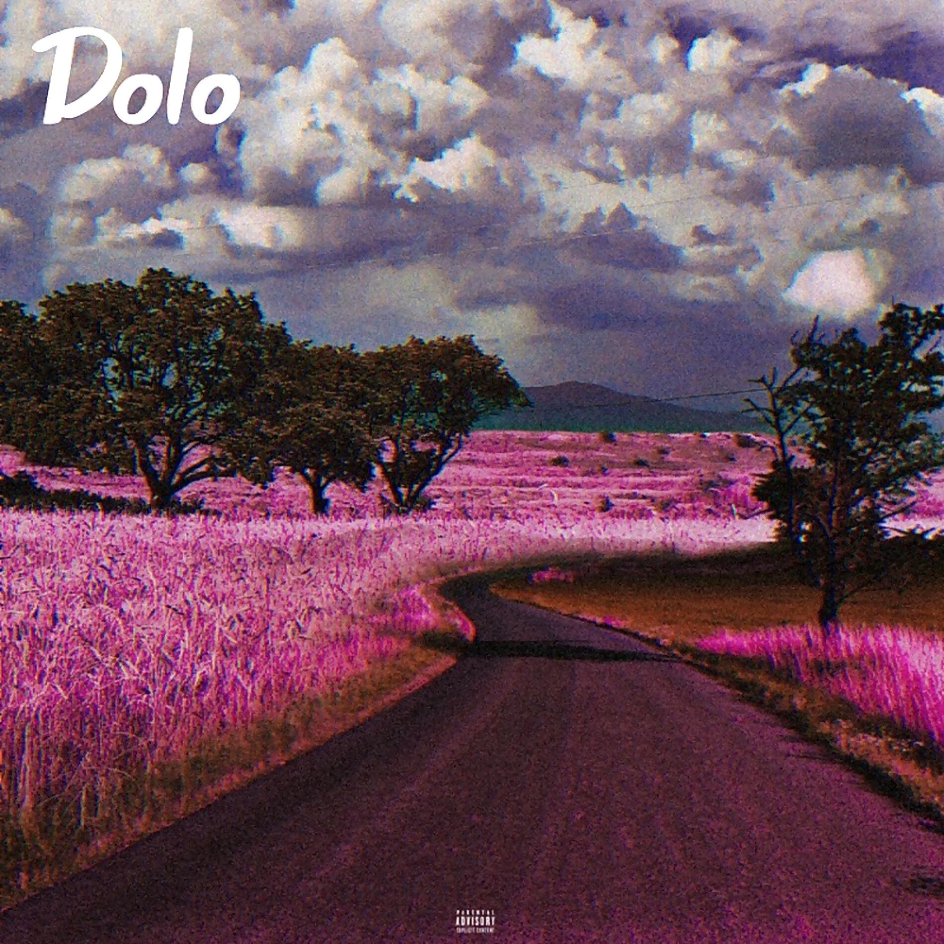 Album cover of Dolo