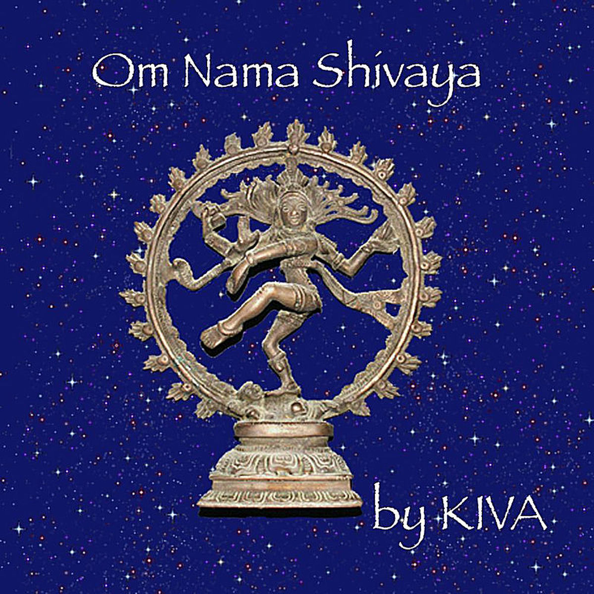 Album cover of Om Nama Shivaya