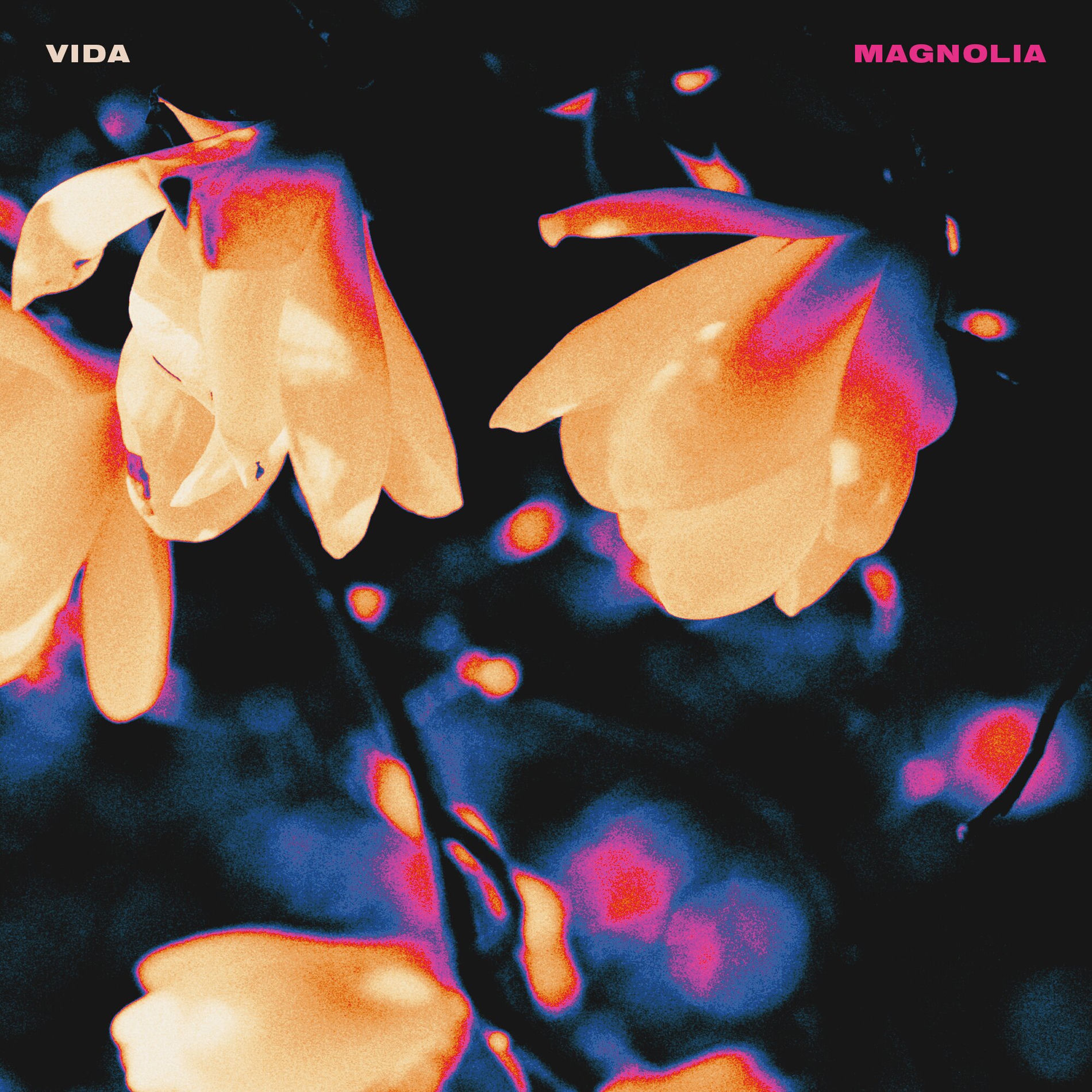 Album cover of Magnolia