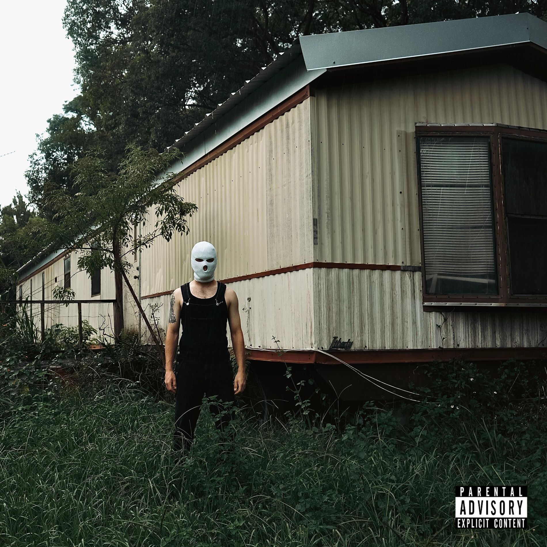 Album cover of Against The Grain