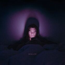 Cover of Hollow