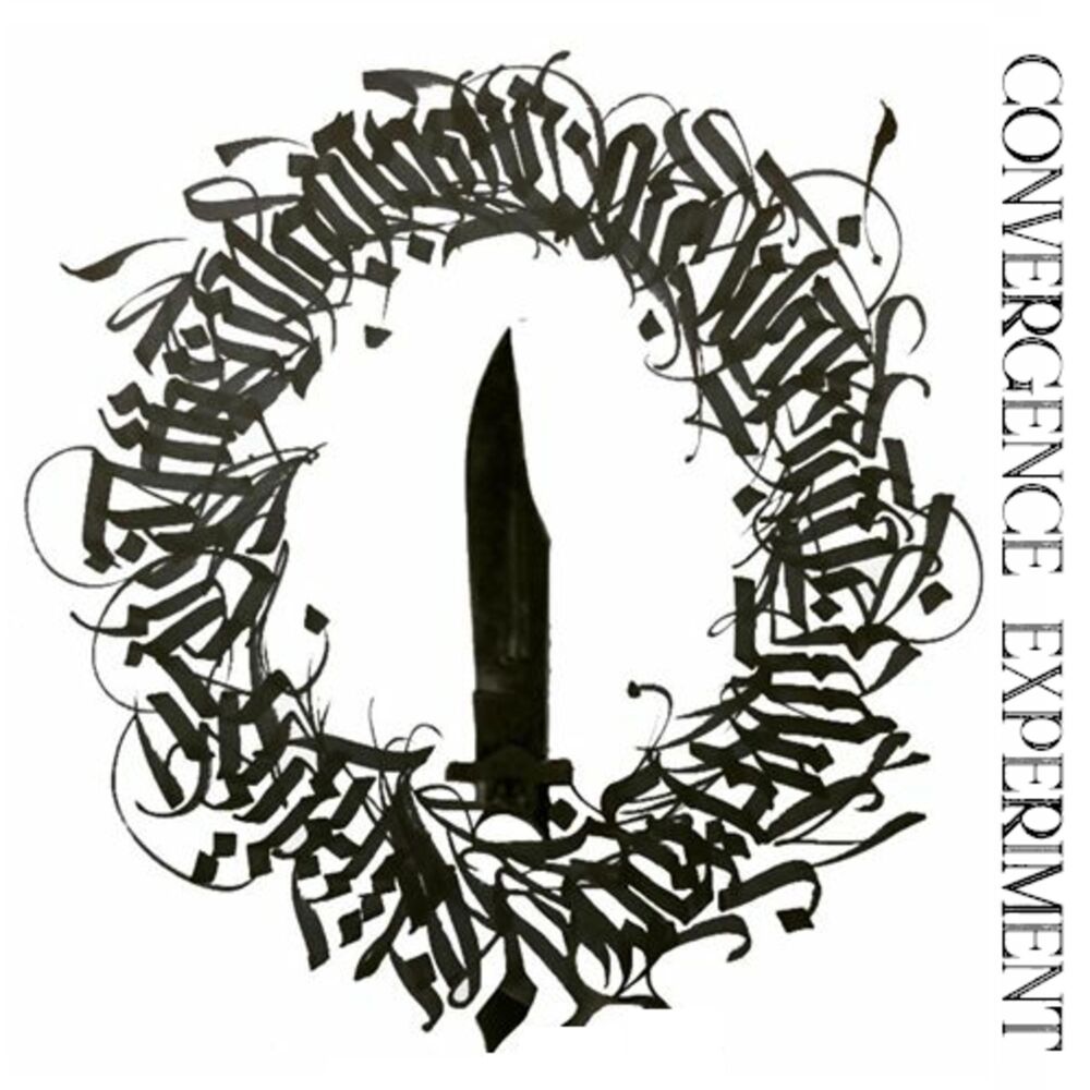 Picture of Convergence Experiment