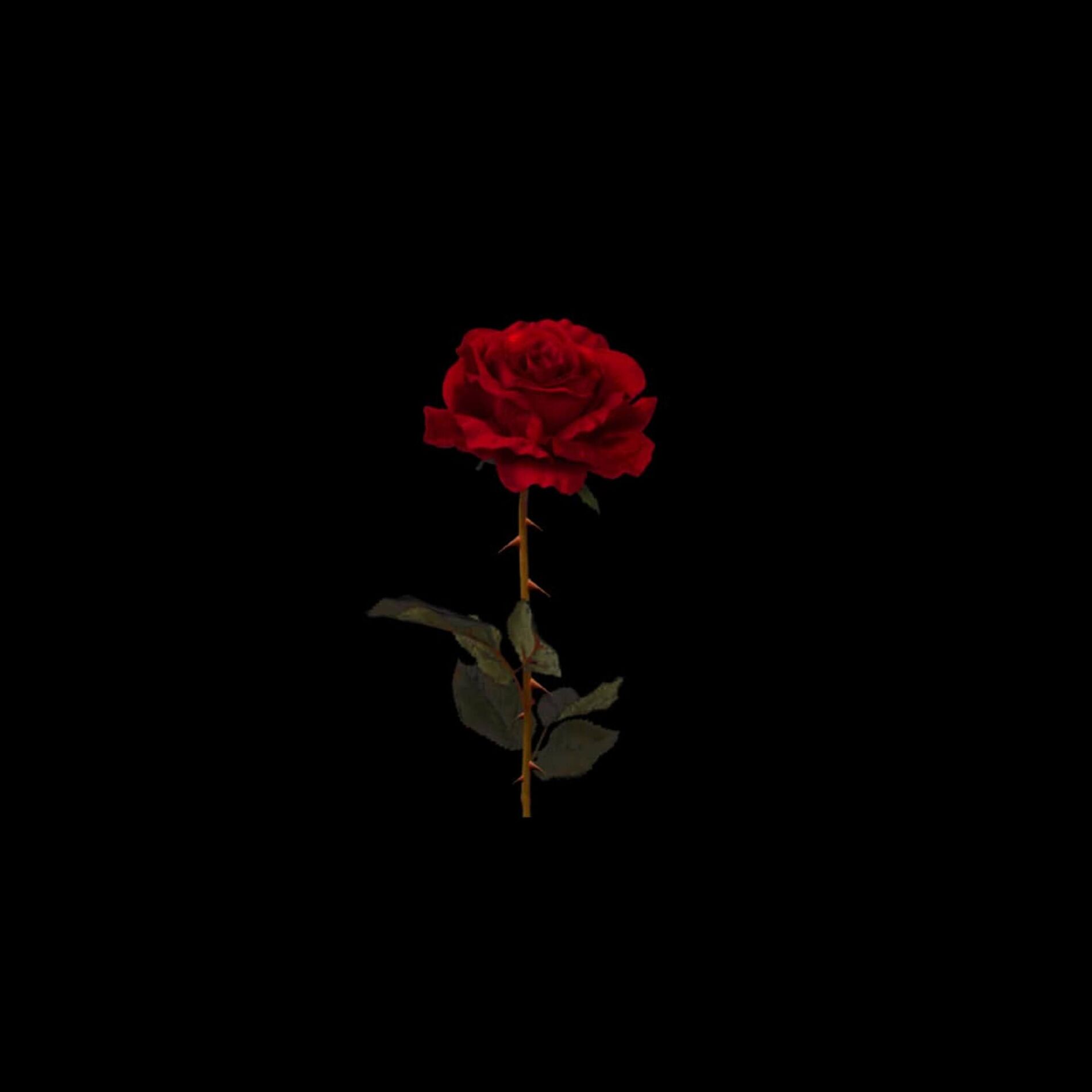 Album cover of Luna (feat. Curtis Heron & Evva)