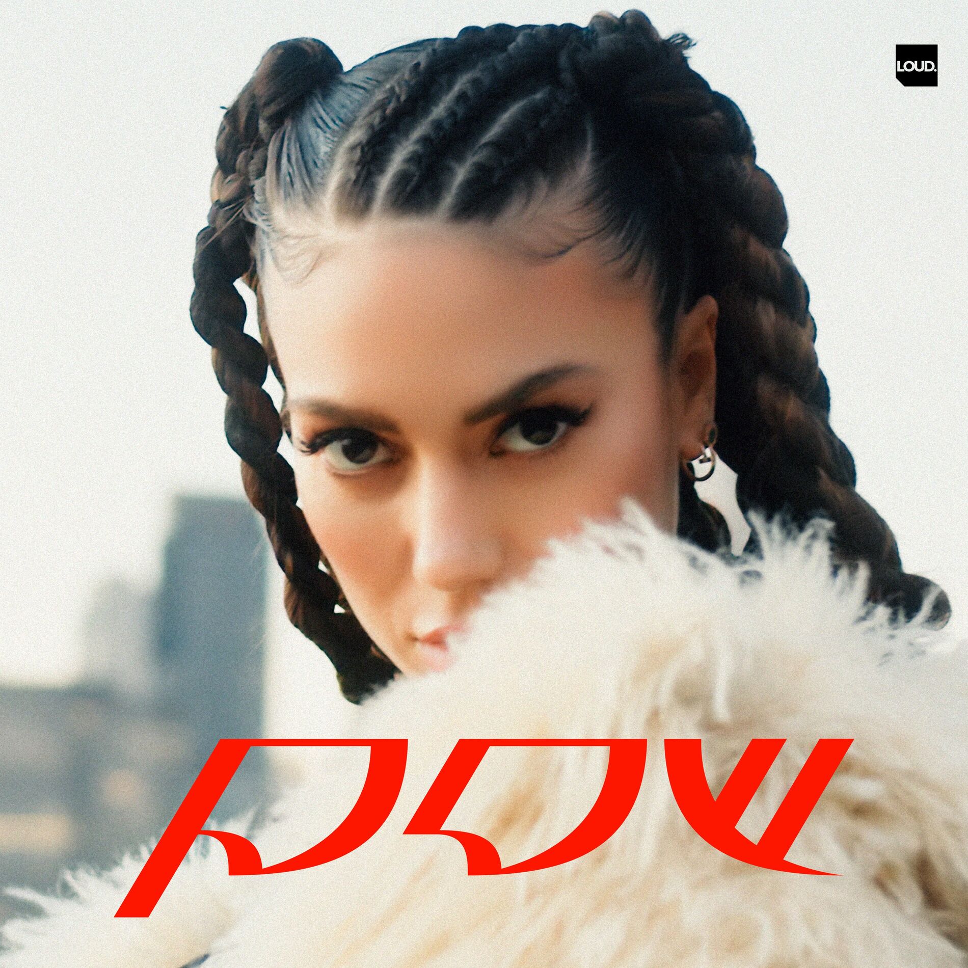 Album cover of POW