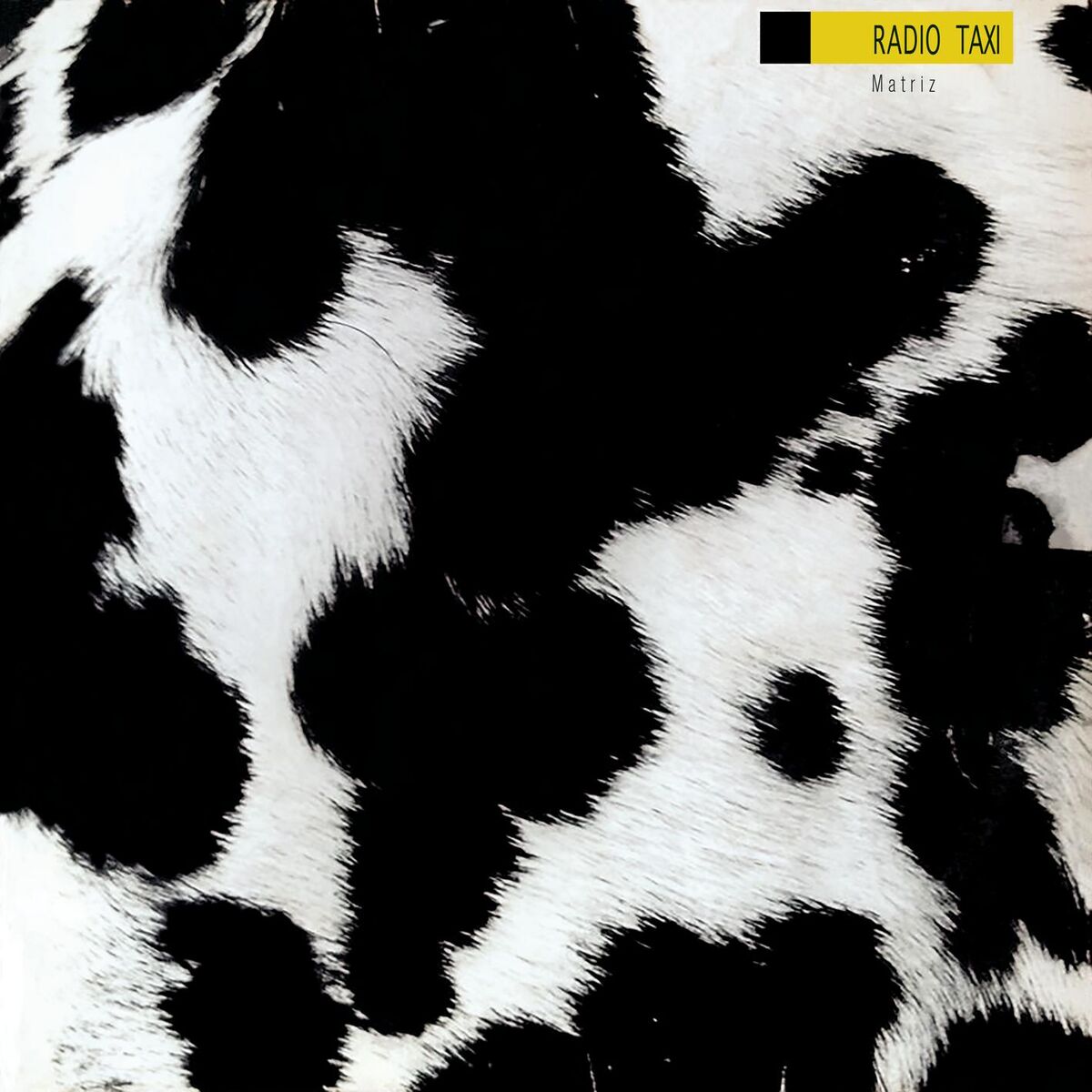 Album cover of Você se Esconde