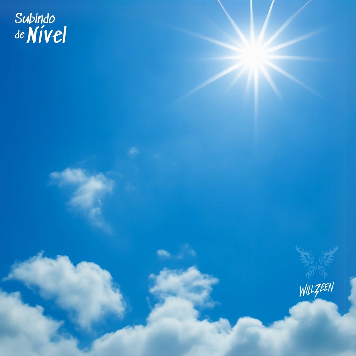 Album cover of Subindo de Nível