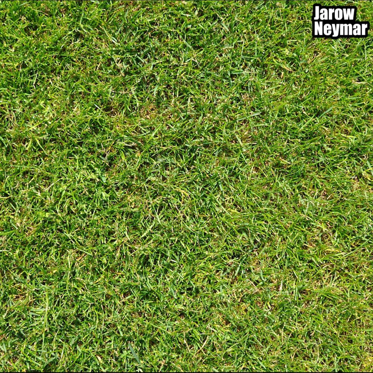 Album cover of Neymar