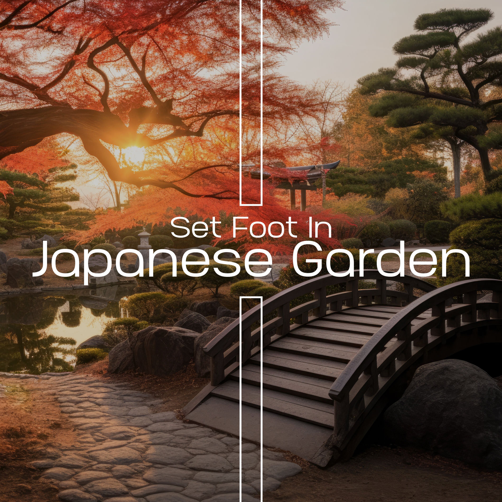 Album cover of Set Foot In Japanese Garden
