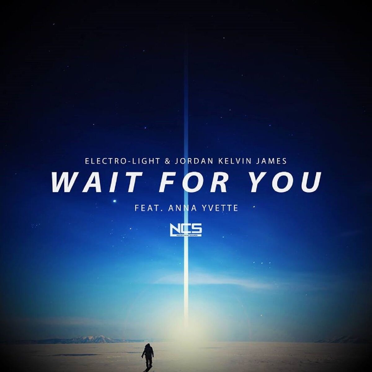 Album cover of Wait For You