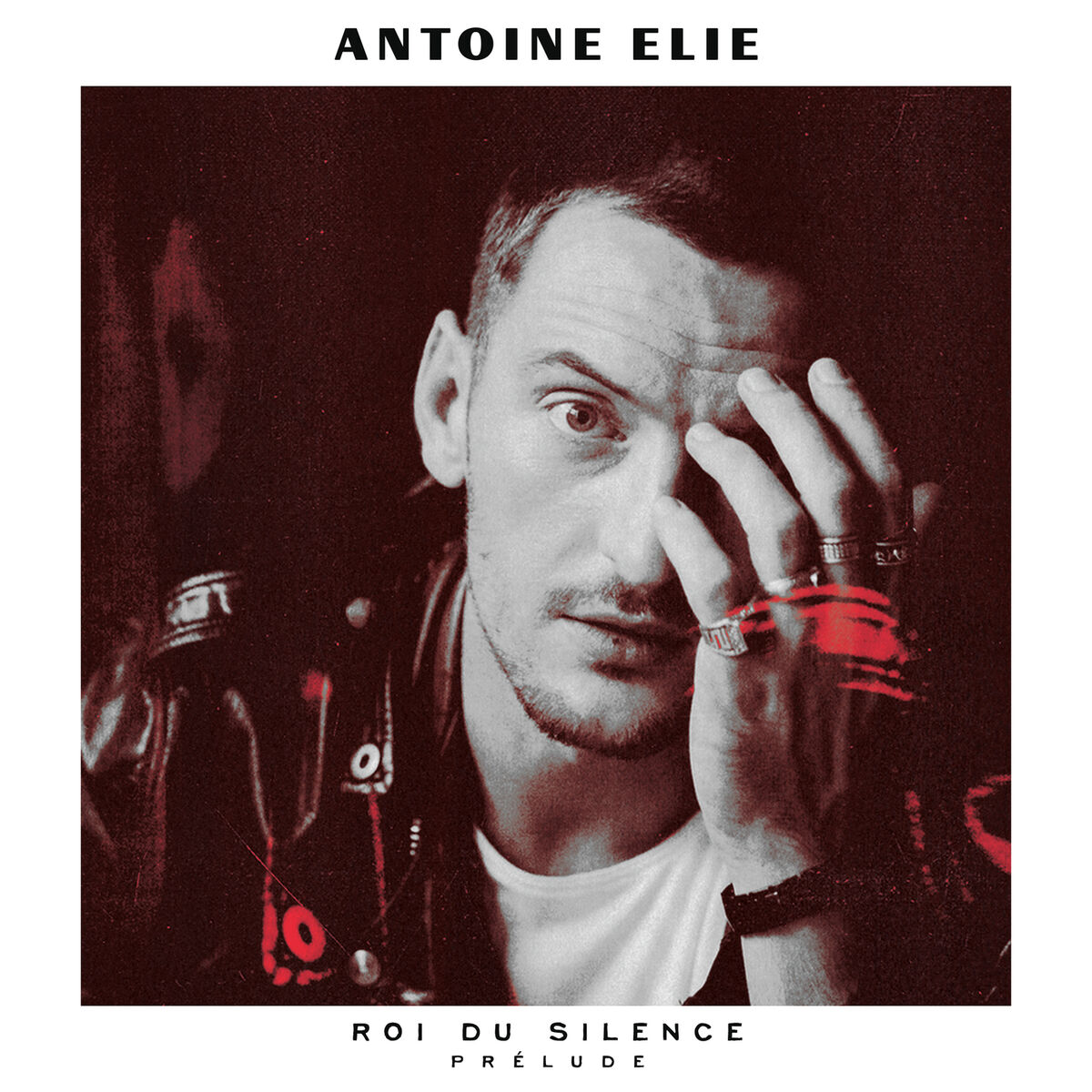 Album picture of Roi du silence prélude