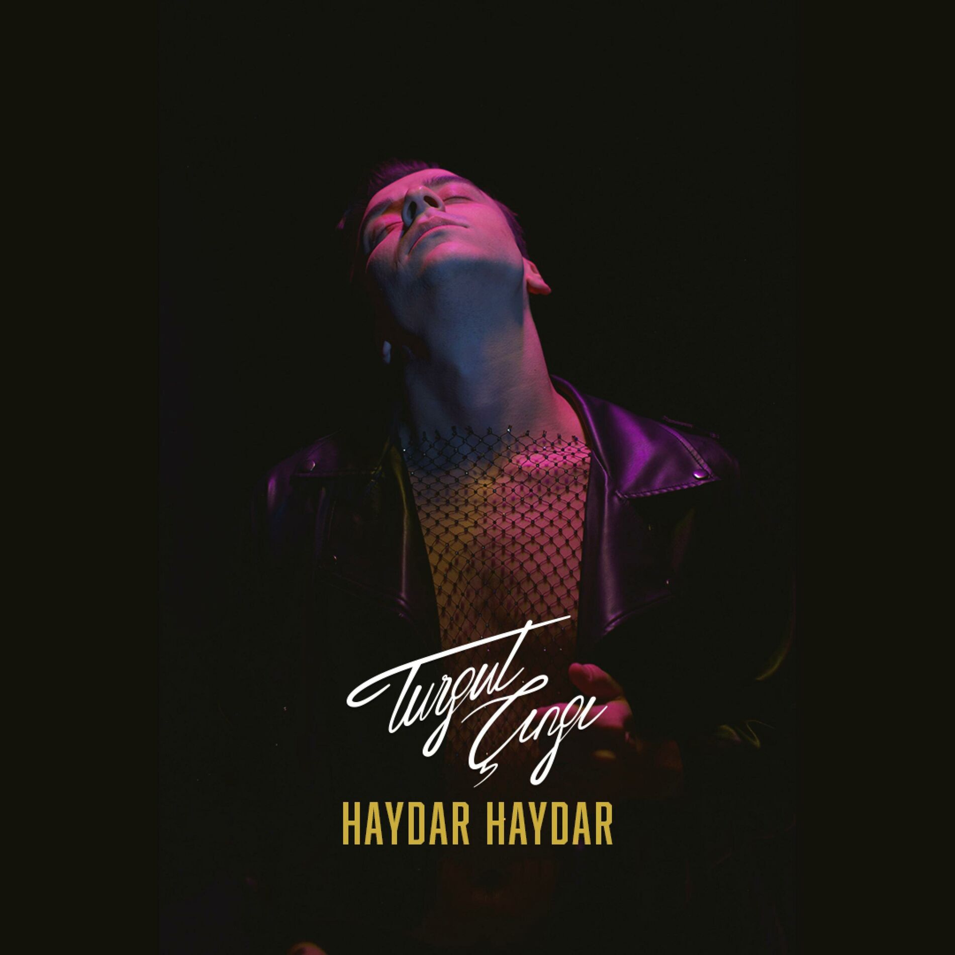 Album cover of HAYDAR HAYDAR