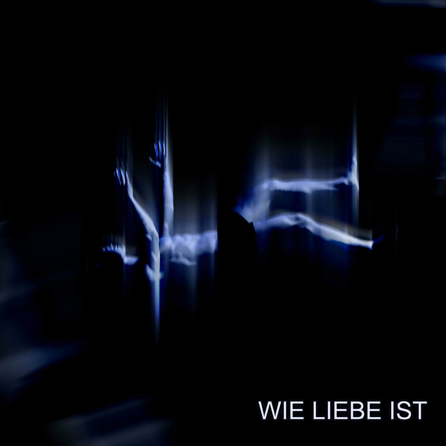 Album cover of WIE LIEBE IST