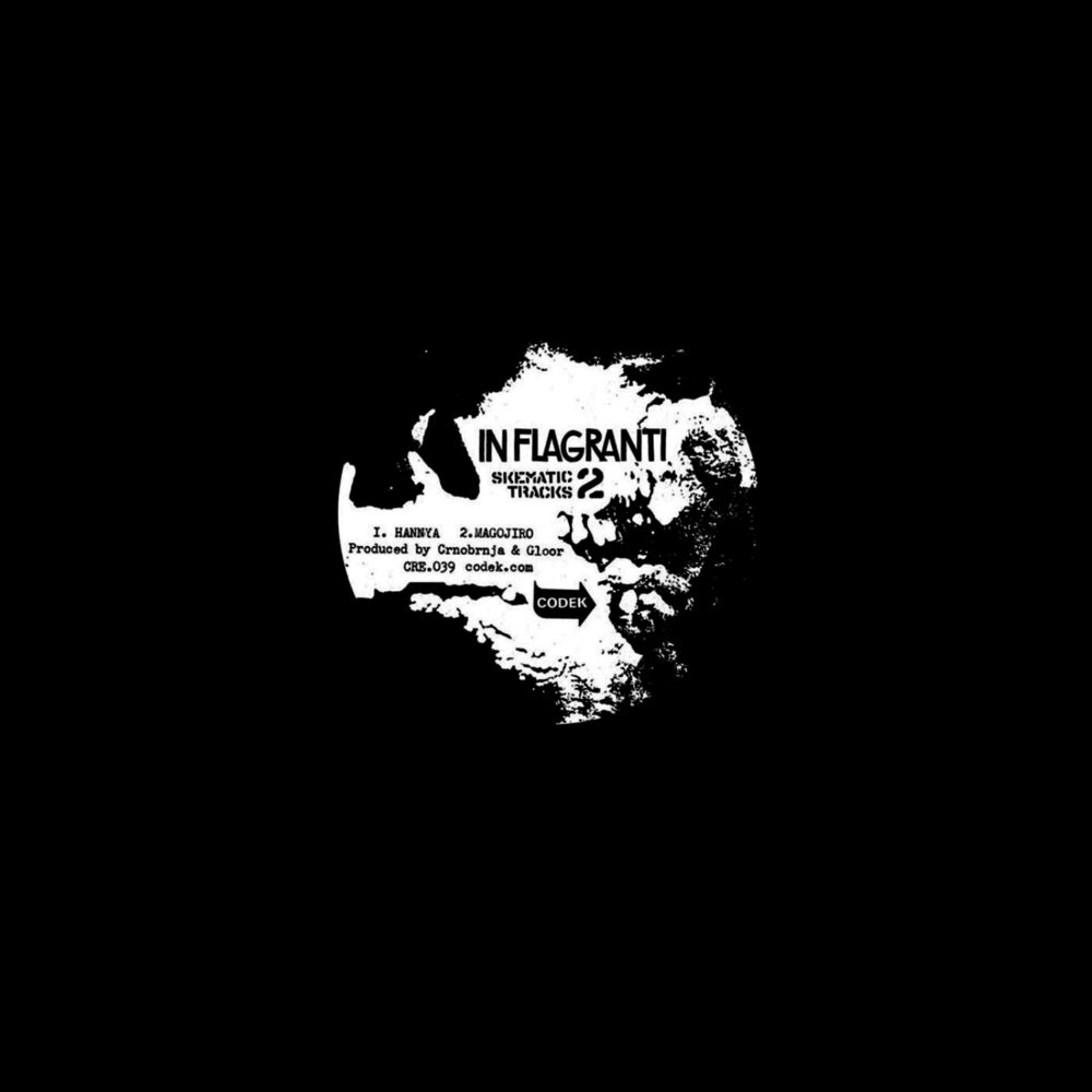 Picture of Skematic Tracks Vol 2