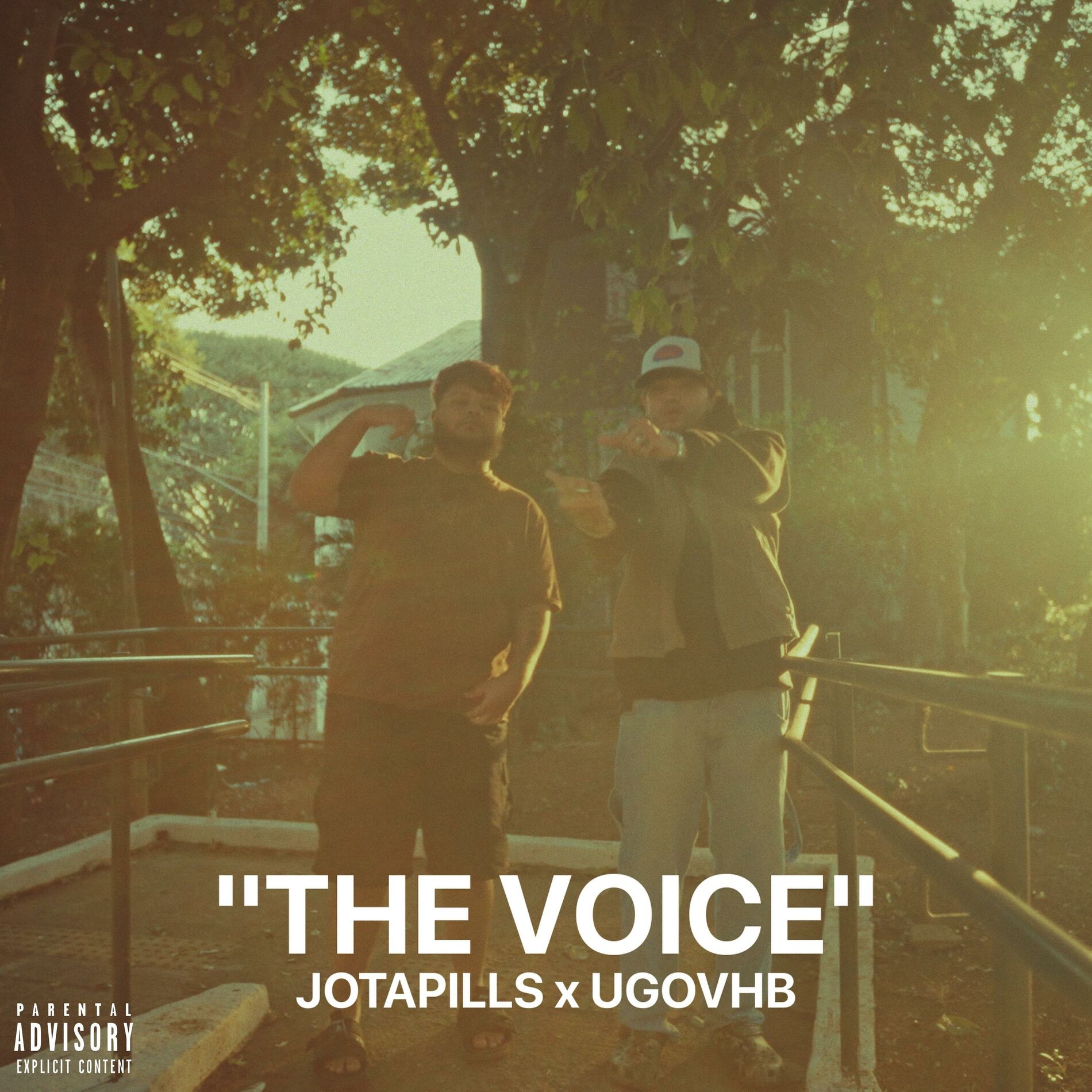 Album cover of THE VOICE (feat. Ugovhb & BeatsbyTree)