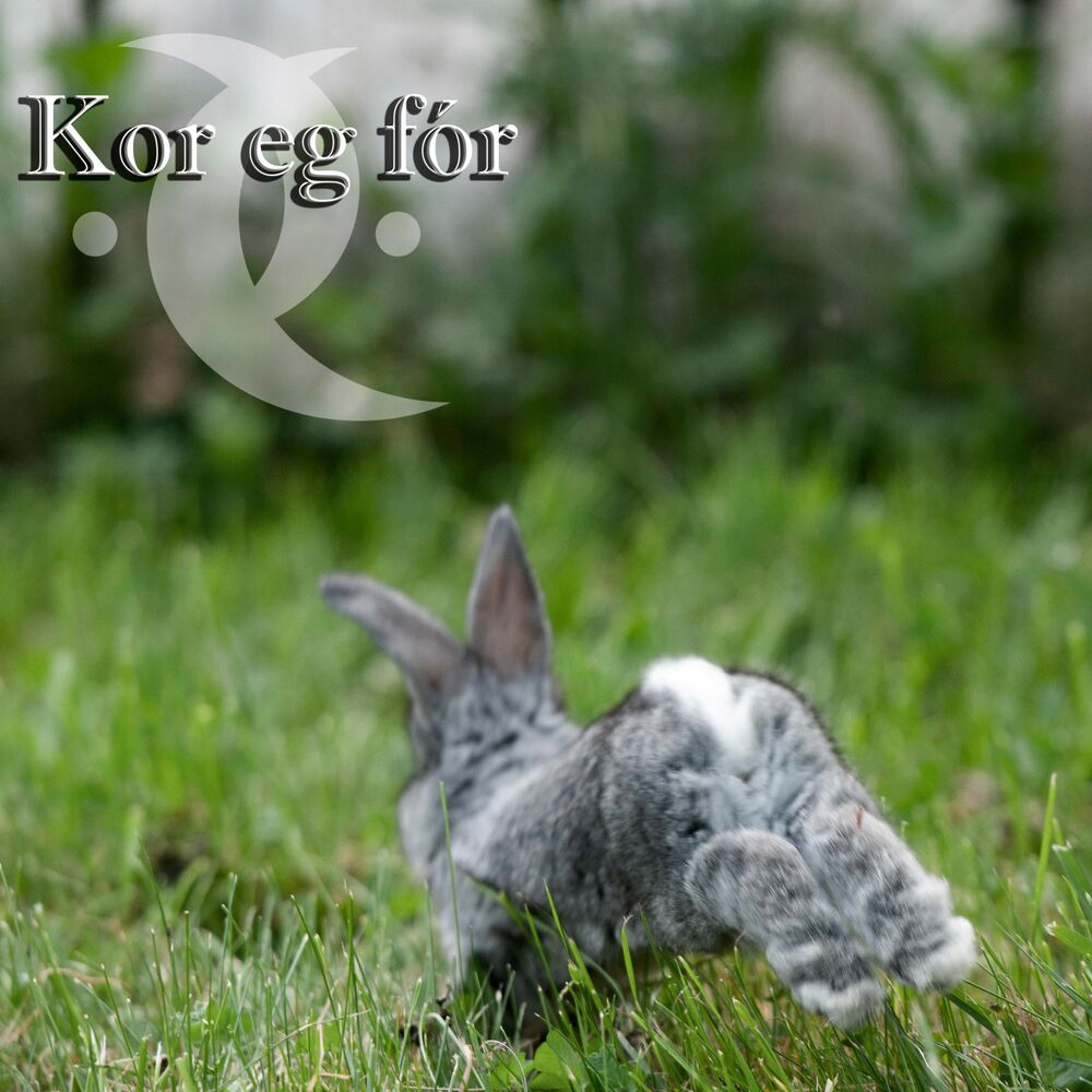 Picture of Kor eg fór