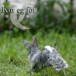 Cover of Kor eg fór