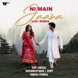 Cover of Ni Main Jaana (Lofi Remix)
