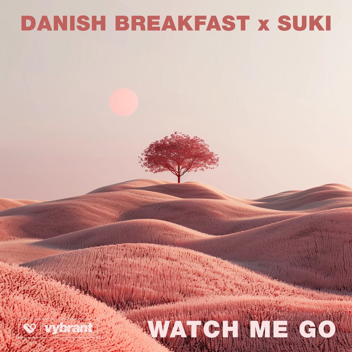 Album cover of Watch Me Go